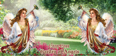 mod img angels